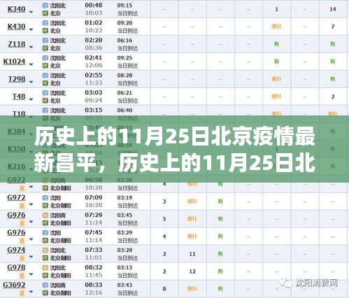 历史上的11月25日北京疫情回顾与当前昌平防疫指南，从初学者到进阶用户的全面指南