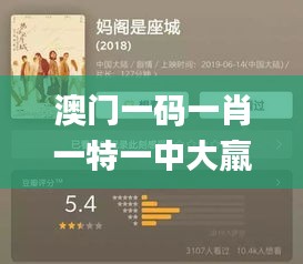 澳门一码一肖一特一中大羸家,灵活执行方案_娱乐版QSV7.70