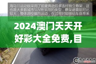 2024澳门天天开好彩大全免费,目前现象解析描述_运动版TDI7.7