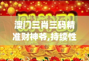 澳门三肖三码精准财神爷,持续性实施方案_时尚版RAP7.12