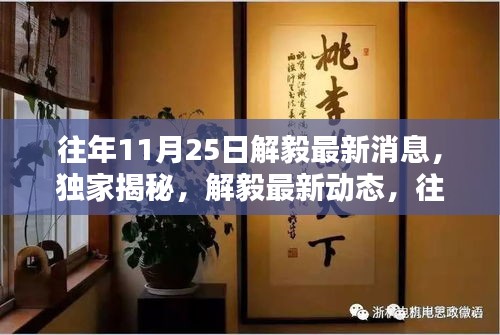 独家揭秘，解毅最新动态及不为人知的消息——往年11月25日深度报道