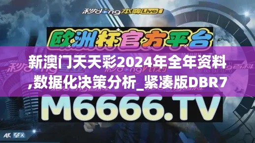 新澳门天天彩2024年全年资料,数据化决策分析_紧凑版DBR7.95