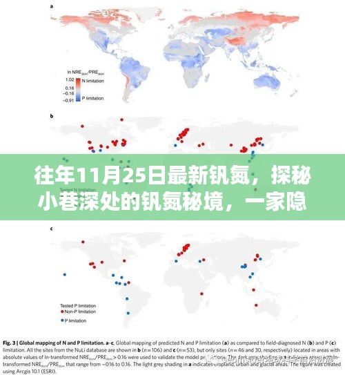 探秘隐藏小巷深处的钒氮秘境，特色小店的非凡魅力