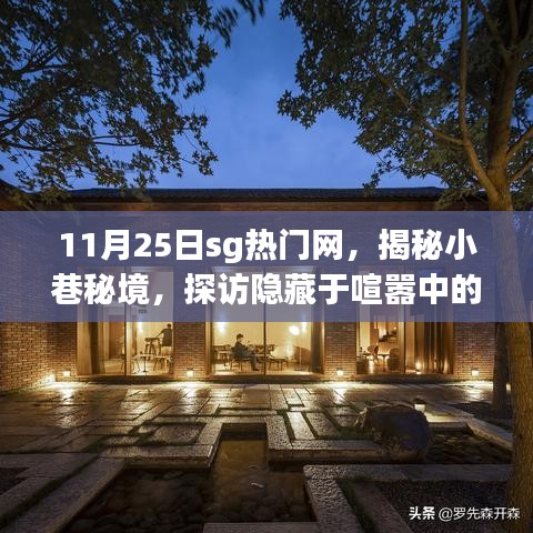 11月25日sg热门网，揭秘小巷秘境，探访隐藏于喧嚣中的sg热门网特色小店