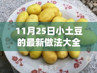 11月25日小土豆最新做法大全，深度测评与详细介绍