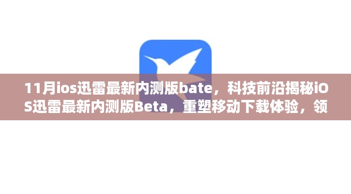 iOS迅雷最新内测版Beta重塑移动下载体验，科技前沿的下载革命！