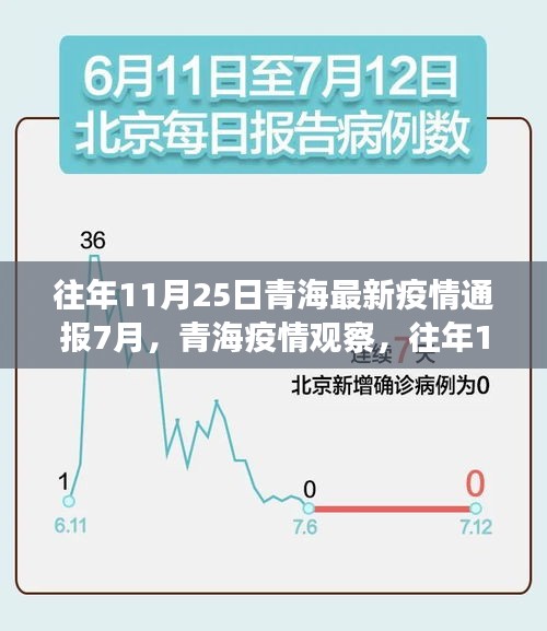 往年11月25日青海疫情回顾与深度分析，7月疫情观察及数据通报标题，青海疫情历年11月25日数据深度解析与观察报告（七月份疫情回顾）