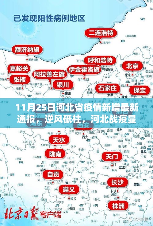 河北战疫最新通报，逆风砥柱，学习之光照亮前行之路