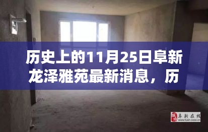 历史上的11月25日阜新龙泽雅苑揭秘，最新消息一览无余