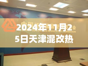 天津混改最新动态，解读热门消息与前沿动态（2024年11月25日）