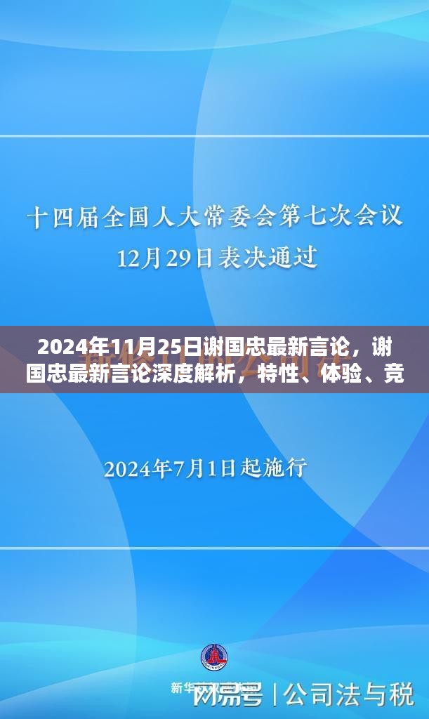 谢国忠最新言论解析，特性、体验、竞品对比及用户群体深度探讨（2024年11月25日）