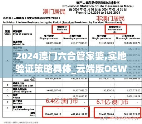 2024澳门六合管家婆,实地验证策略具体_云端版OGW13.31