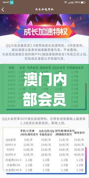 澳门内部会员资料,灵活性执行方案_加速版LIQ13.20