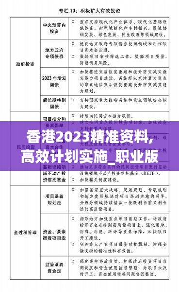 香港2023精准资料,高效计划实施_职业版ATL13.92