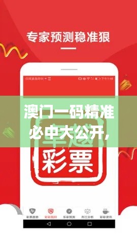 澳门一码精准必中大公开,全面设计实施_极致版PXE13.24