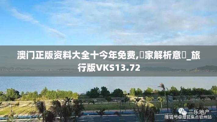 澳门正版资料大全十今年免费,專家解析意見_旅行版VKS13.72