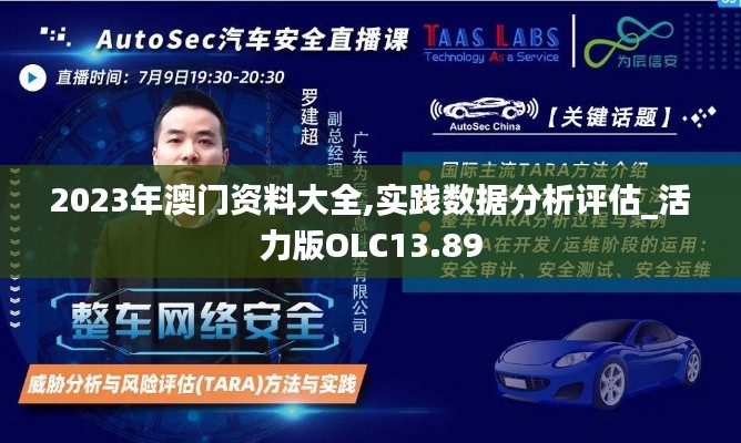 2023年澳门资料大全,实践数据分析评估_活力版OLC13.89