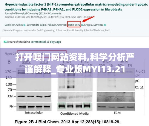 打开噢门网站资料,科学分析严谨解释_专业版MYI13.21