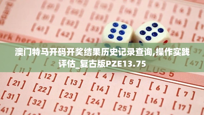 澳门特马开码开奖结果历史记录查询,操作实践评估_复古版PZE13.75