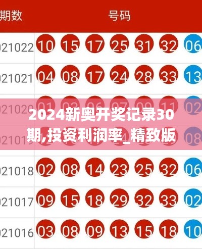 2024新奥开奖记录30期,投资利润率_精致版GOO13.98