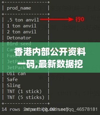 香港内部公开资料一码,最新数据挖解释明_投影版FFZ13.25