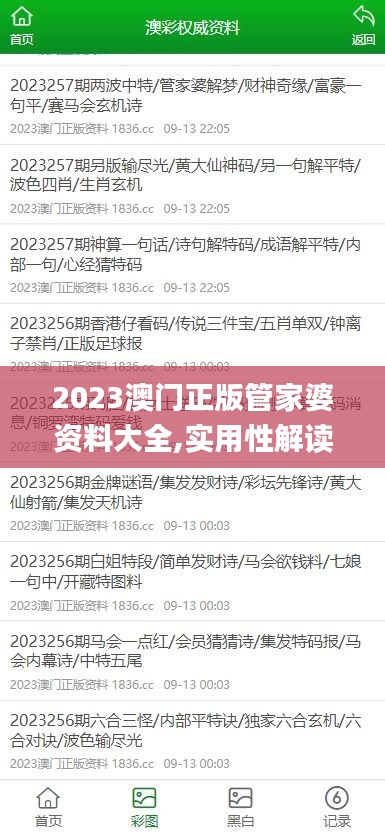 2023澳门正版管家婆资料大全,实用性解读策略_私人版SCA13.79