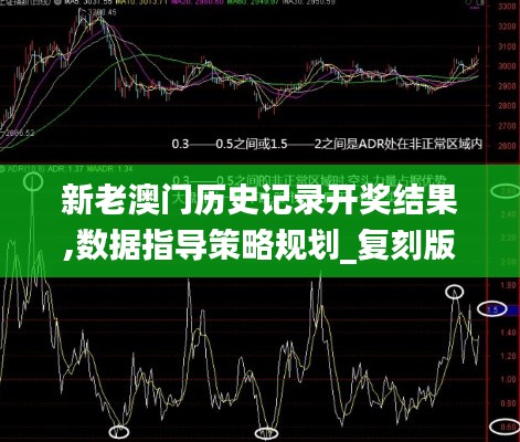 新老澳门历史记录开奖结果,数据指导策略规划_复刻版QFA13.51