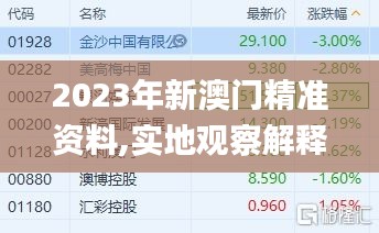 2023年新澳门精准资料,实地观察解释定义_贴心版MRN13.42