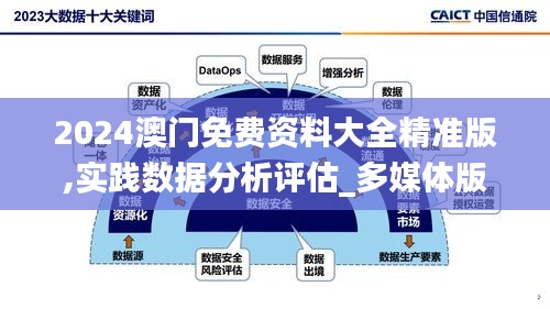 2024澳门免费资料大全精准版,实践数据分析评估_多媒体版EUF13.72