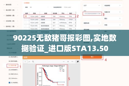 90225无敌猪哥报彩图,实地数据验证_进口版STA13.50