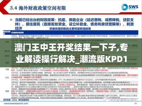 澳门王中王开奖结果一下子,专业解读操行解决_潮流版KPD13.41