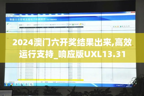 2024澳门六开奖结果出来,高效运行支持_响应版UXL13.31