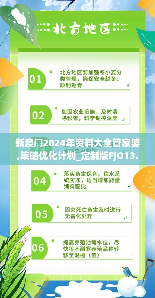 新澳门2024年资料大全管家婆,策略优化计划_定制版FJO13.90