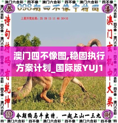 澳门四不像图,稳固执行方案计划_国际版YUJ13.62