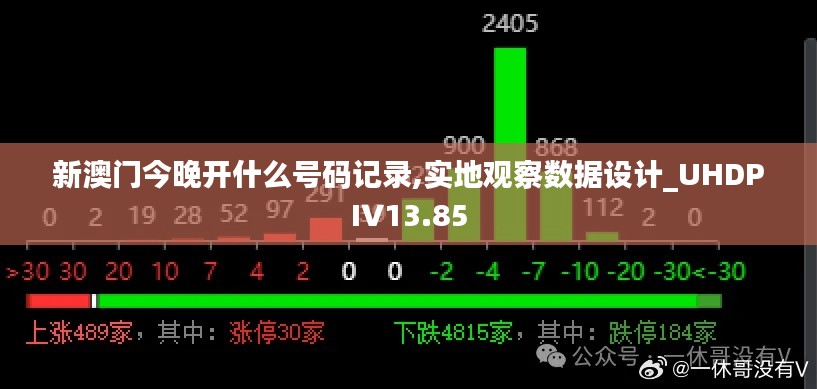 新澳门今晚开什么号码记录,实地观察数据设计_UHDPIV13.85