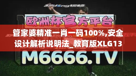 管家婆精准一肖一码100%,安全设计解析说明法_教育版XLG13.13