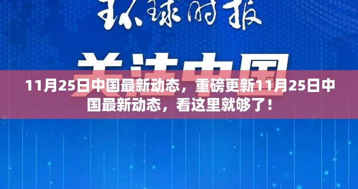 11月25日中国最新动态全解析，一览无余的权威资讯