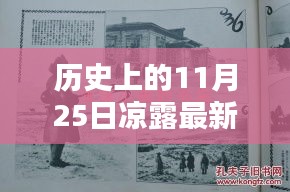 历史上的11月25日，凉露最新消息全面介绍与评测