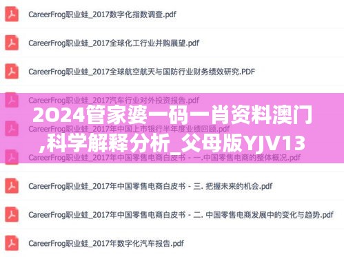 2O24管家婆一码一肖资料澳门,科学解释分析_父母版YJV13.87