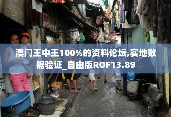 澳门王中王100%的资料论坛,实地数据验证_自由版ROF13.89