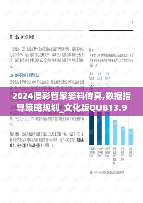 2024澳彩管家婆料传真,数据指导策略规划_文化版QUB13.91