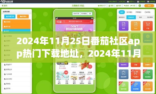 2024年11月番茄社区app下载热门地址及用户体验分享