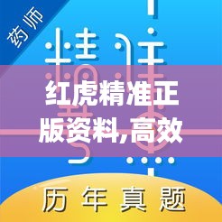 红虎精准正版资料,高效执行方案_无线版EWR13.68