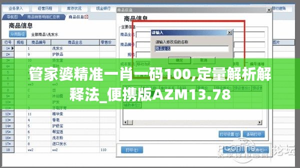 管家婆精准一肖一码100,定量解析解释法_便携版AZM13.78