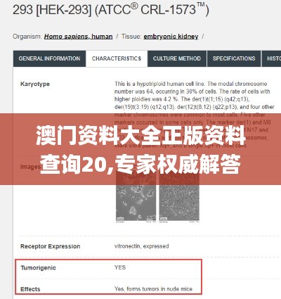 澳门资料大全正版资料查询20,专家权威解答_时刻版AFB13.74