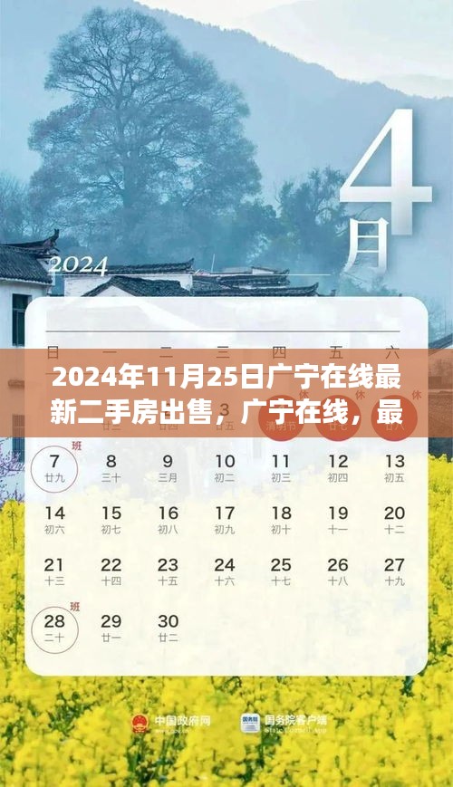 广宁在线最新二手房市场深度观察，深度解析广宁二手房市场脉动——最新房源出售信息（2024年11月25日）