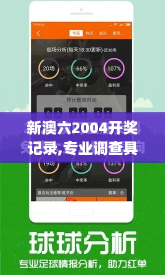 新澳六2004开奖记录,专业调查具体解析_经典版KNX13.38