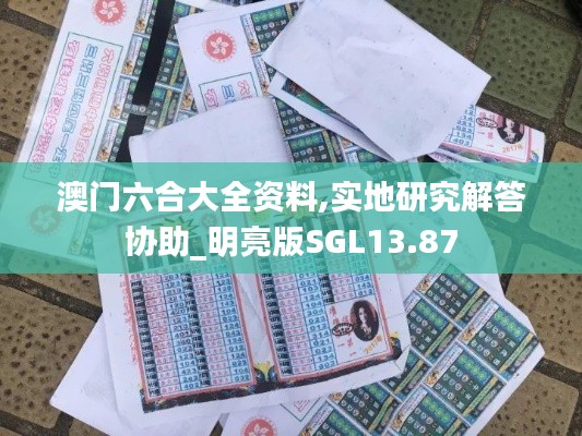 澳门六合大全资料,实地研究解答协助_明亮版SGL13.87