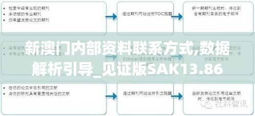 新澳门内部资料联系方式,数据解析引导_见证版SAK13.86