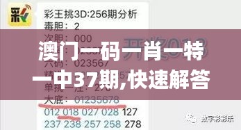 澳门一码一肖一特一中37期,快速解答方案实践_为你版CLV13.70